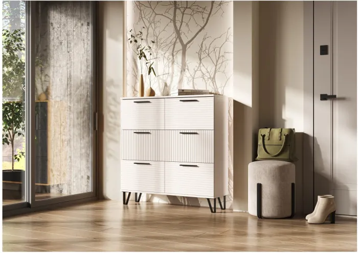 Обувница Флэш, Кашемир