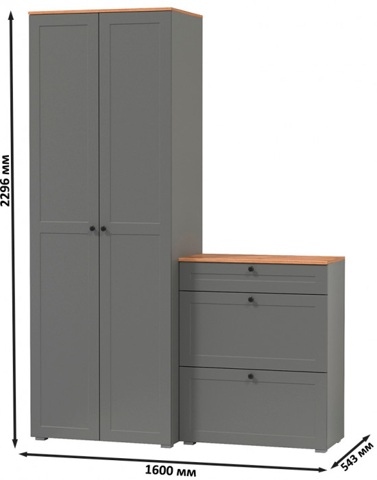 Остин Прихожая 05, цвет серый графит/дуб крафт золотой, ШхГхВ 160х54,3х229,6 см., универсальная сборка