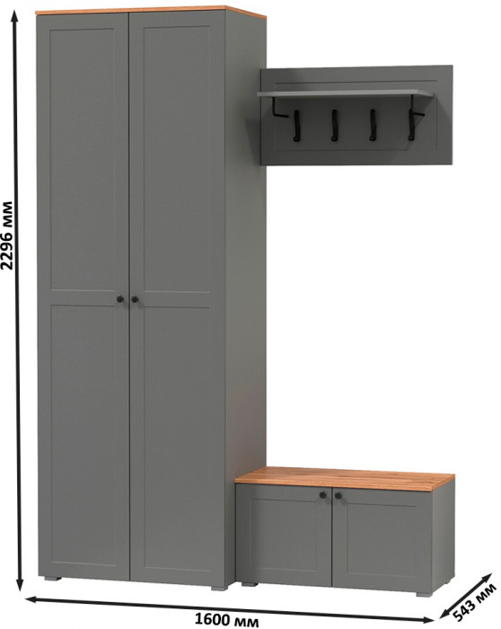 Остин Прихожая 19, цвет серый графит/дуб крафт золотой, ШхГхВ 160х54,3х229,6 см., универсальная сборка