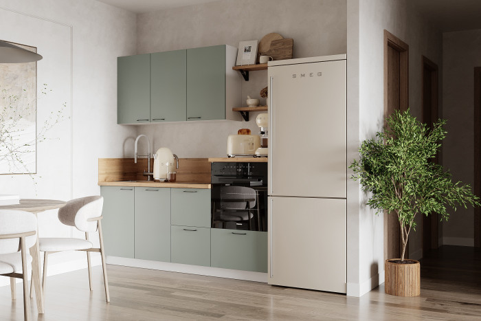 КГ 1950 Эмаль, Олива Арника РМ