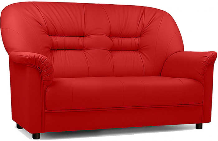 Диван кожаный красный, прямой 2-х местный, для дома, офиса, гостиной, кабинета Карелия