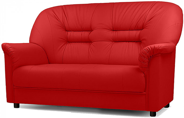 Диван кожаный красный, прямой 2-х местный, для дома, офиса, гостиной, кабинета Карелия