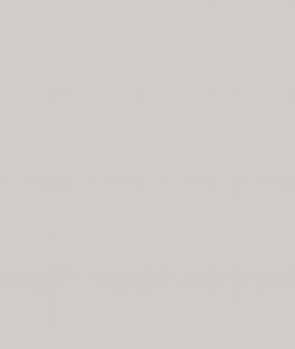 Ф-250 Альфа (ШВ 920х800) МДФ холст белый