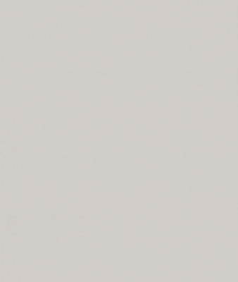 Ф-112 Альфа Фальшпанель (ШНТ 200) холст белый