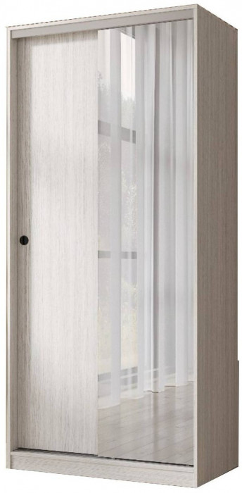 Шкаф-купе Альянс 1000 (Венге)