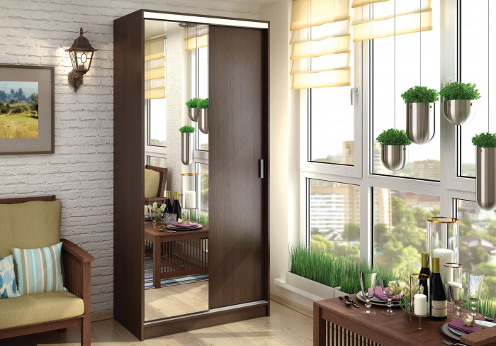 Альянс 1,0 м шкаф-купе (1000*2200*610 мм) венге/венге