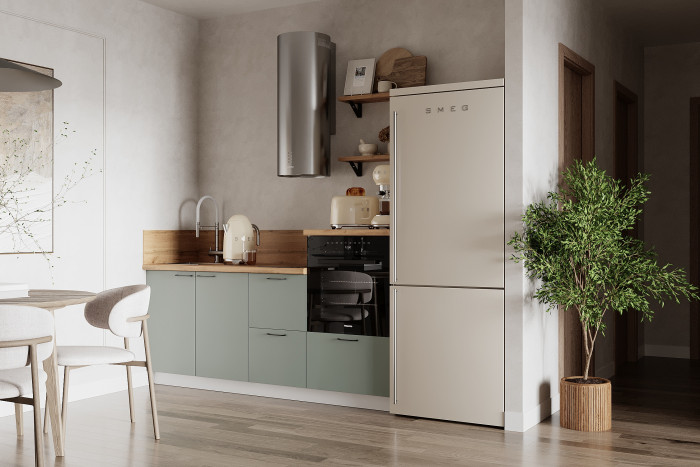 КГ 1950 Эмаль, Олива  Арника РМ в.6